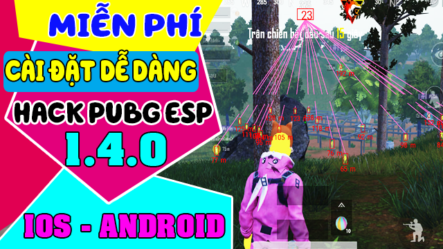 Mod PUBG Mobile VNG 1
